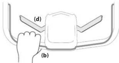 (d) (b)