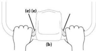 (e) (e) (b)