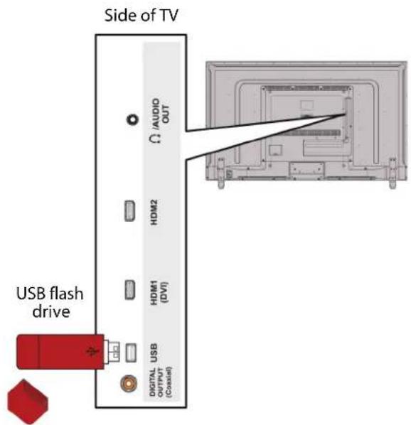 Side of TV USB flash drive DIGITAL OUTPUT (Cassell) A/DIOUT HDM2 HDM1 (DVI) USB USB OUTPUT (Cassell)