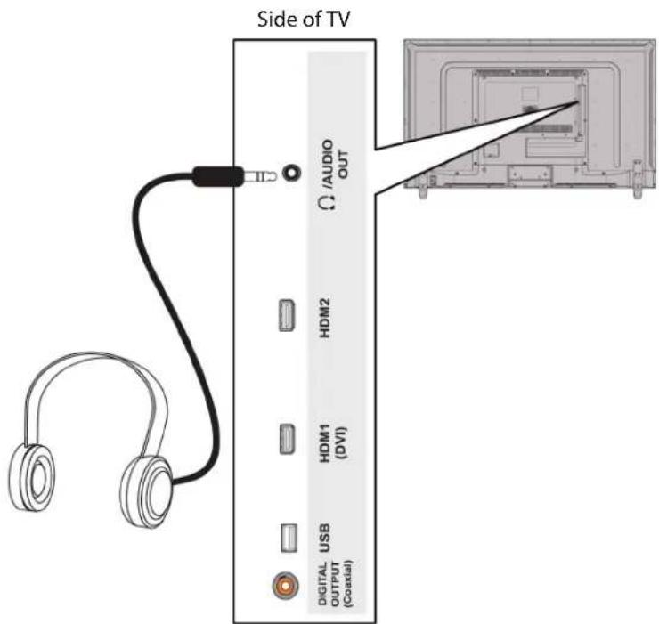 Side of TV AUDIO OUT HDM2 HDM1 (DVI) USB DIGITAL OUTPUT (Coaxial)