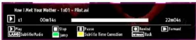 How I Met Your Mother - 1x01 - Pilot.avi x1 ODimT4s 22m04s Play Stop Pause Behind Forward LANG Subtile/Media Jump Subtile Time Correction unknown back