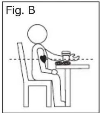 Fig. B