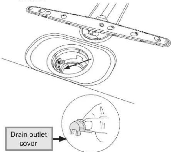 Drain outlet cover