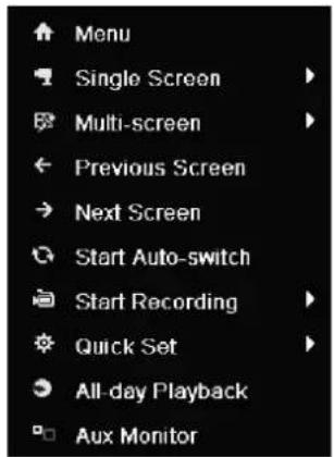Menu Single Screen Multi-screen Previous Screen Next Screen Start Auto-switch Start Recording Quick Set All-day Playback Aux Monitor