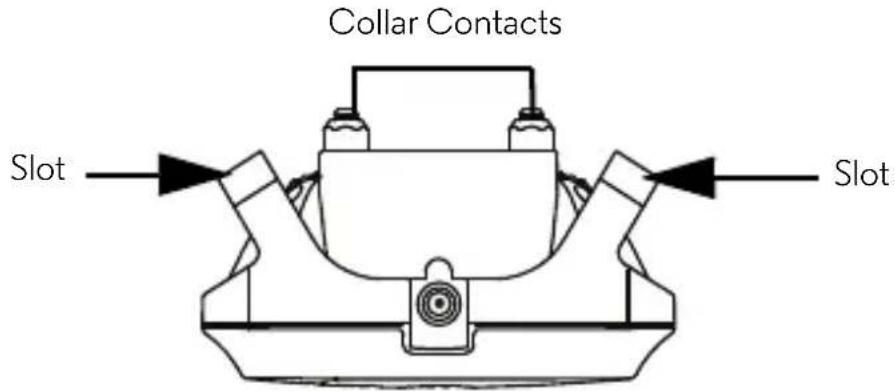 Collar Contacts Slot → Slot