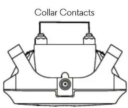 Collar Contacts