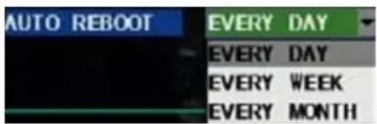 AUTO REBOOT EVERY DAY EVERY DAY EVERY WEEK EVERY MONTH