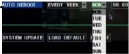 AUTO REBOOT EVERY WEEK MIN 00 00 SYSTEM UPDATE LOAD DEFAULT MON TUE WED THU FRI SAT SUN