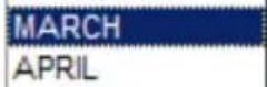 SWANN DVR8-2500 - Daylight Saving Time - 6