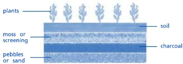 plants moss or screening pebbles or sand soil charcoal