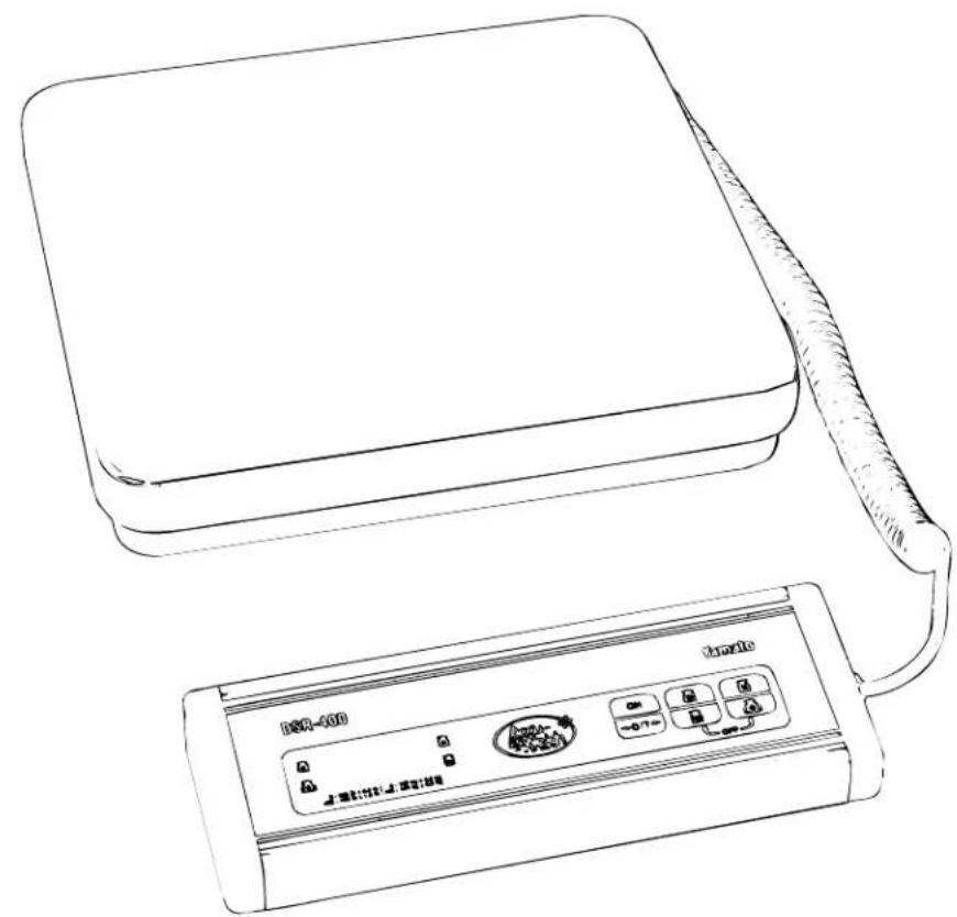 Yamato DSR-400 - DSR-400 Operation Manual - 1