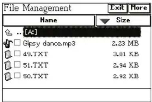 File Management Name Size [...] □ Gipsy dance.mp3 2.23 MB □ 49.TXT 3.01 KB □ 51.TXT 2.94 KB □ 50.TXT 2.92 KB