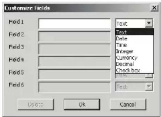 Customize Fields Field 1 Field 2 Field 3 Field 4 Field 5 Field 6 Text Text Date Time Integer Currency Decimal Checkbox Text Delete Ok Cancel