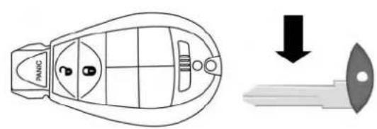 PAN C