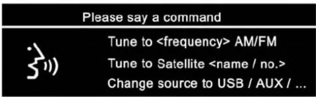 Please say a command Tune to AM/FM Tune to Satellite Change source to USB / AUX / ...