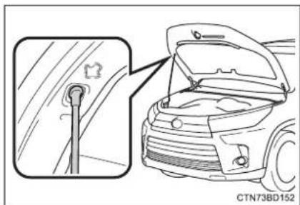 TOYOTA Highlander Hybrid (2018) - Release the lock from the inside of the vehicle to open the hood. - 3