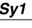 FURUNO FI-505 Course Pilot - Setup2 menu - 9