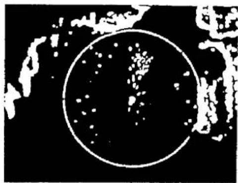 FURUNO 1731 Mark-2 - Radar Picture and Corresponding Chart - 2