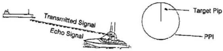 Transmitted Signal Echo Signal Target Pip PPI