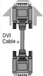 DVI Cable *