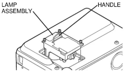 LAMP ASSEMBLY HANDLE