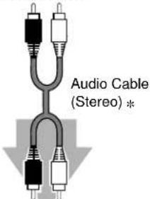 Audio Cable (Stereo) *