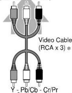 Video Cable (RCA x 3) * Y - Pb/Cb - Cr/Pr