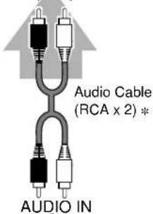 Audio Cable (RCA x 2) * AUDIO IN