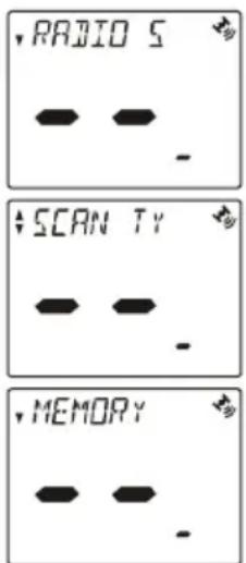 RADIO S SCAN TV MEMORY