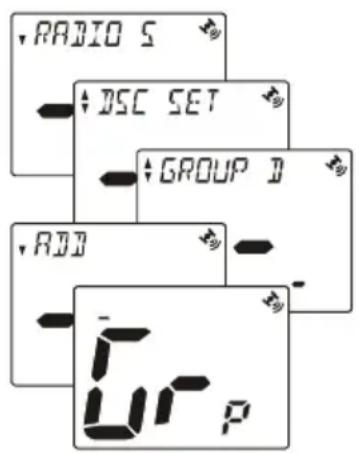RADIO S ↓DSC SET ↓GROUP ID ↓RIO 5r_p