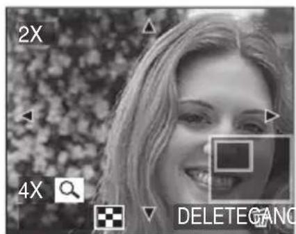 2X 4X DELETE GANG