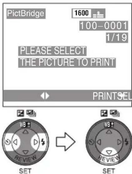 PictBridge 1600 100-0001 1/19 PLEASE SELECT THE PICTURE TO PRINT PRINTSEL WB REVIEW SET WB REVIEW SET