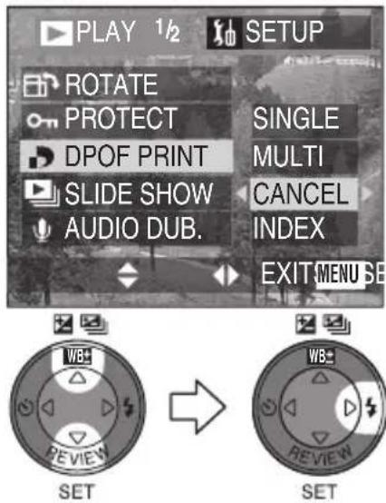 PLAY 1/2 SETUP ROTATE PROTECT SINGLE DPOF PRINT MULTI SLIDE SHOW CANCEL AUDIO DUB. INDEX EXIT MENU SE SET → SET