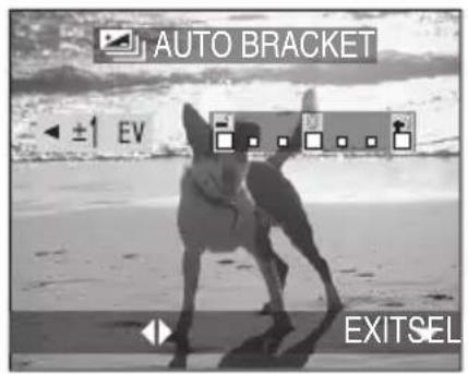 AUTO BRACKET EV EXITSEL