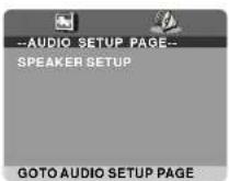 Naxa NTD-2460 - AUDIO SETUP - 1