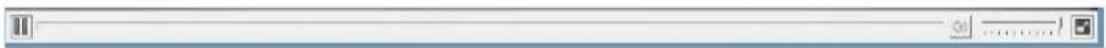 Screenshot of a software interface toolbar with playback controls and status bar
