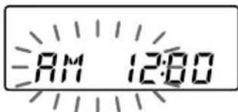 8AM 12:00