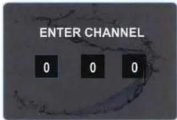 ENTER CHANNEL 0 0 0