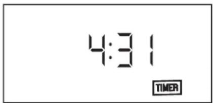 4:31 TIMER