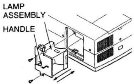 LAMP ASSEMBLY HANDLE
