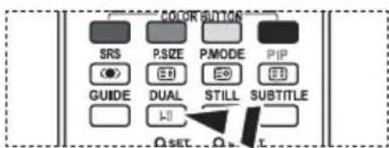 COLOR BUTTON SRS PSIZE PMODE PHP GUIDE DUAL STILL SUBTITLE SET