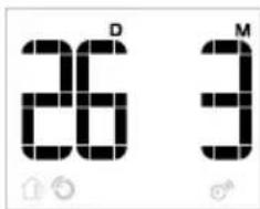 26 D 3 M