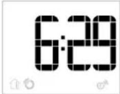 6:29
