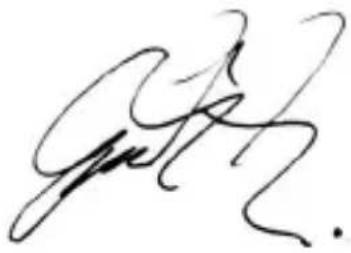 Handwritten signature or scribble in black ink on white background