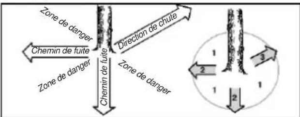 graph TD A["Zone de danger"] --> B["Chemin de fuite"] B --> C["Zone de danger"] C --> D["Zone de danger"] D --> E["Direction de chute"] E --> F["Chemin de fuite"] style A fill:#f9f,stroke:#333 style B fill:#f9f,stroke:#333 style C fill:#f9f,stroke:#333 style D fill:#f9f,stroke:#333 style E fill:#f9f…