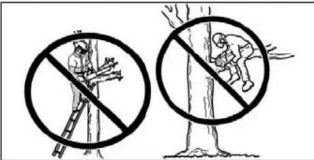 Illustration showing two prohibition signs: one with a worker climbing a ladder, the other with a person falling into a tree.