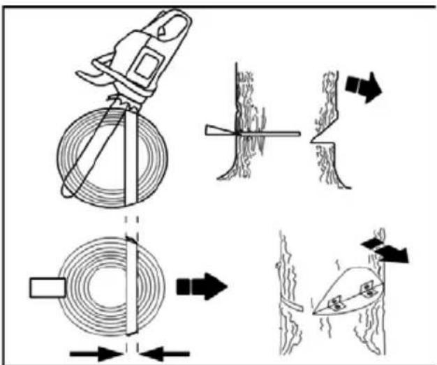 Diagram illustrating the process of using a chainocouple to cut tree bark, showing steps from wire drawing to surface treatment.
