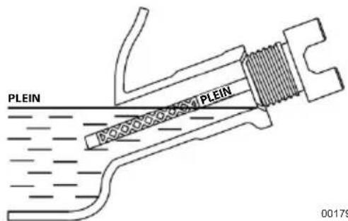 PLEIN PLEIN 00179