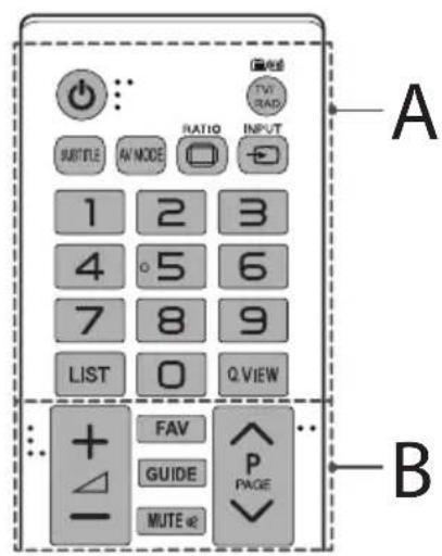 A B