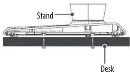 Stand Desk